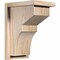 Ekena Millwork Monterey Smooth Corbel w/Backplate, Douglas Fir, 7 1/2"W x 10"D x 14"H COR08X10X14MON01SDF - alternate 1